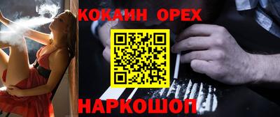 гашик Гай