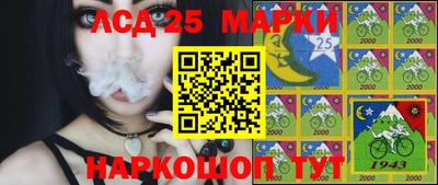 гашик Гай