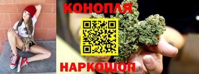 гашик Гай