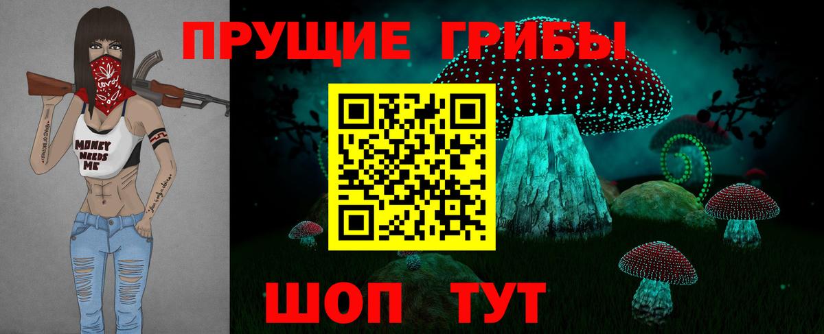 Мыски  Псилоцибиновые грибы Cubensis  Псилоцибиновые грибы Psilocybine cubensis  Вход с VPN 