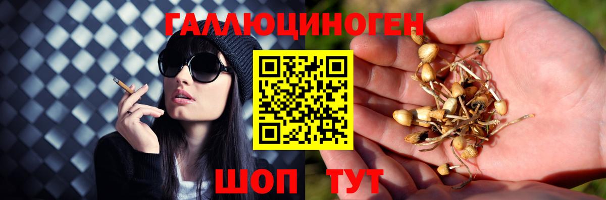 Псилоцибиновые грибы Magic Shrooms Мыски